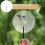 Blank Fans Hand Graffiti Fans PVC Multi 8Stk 5