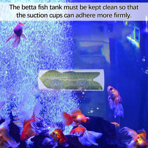 Betta Fish Tunnel Transparent Suction-Cup Mount 3.94x5.91 2
