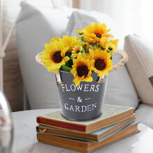 Pots de fleurs rétro en fer forgé – Vases vintage en forme de bidons à lait avec motifs alphabet, 13 x 12 cm, noir, pour la décoration