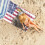 Serviette de plage drapeau américain en coton anti-sable 76 x 152 cm 4