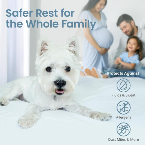 Προστατευτικό στρώματος SleepGuard από βαμβάκι, αδιάβροχο, 1 συσκευασία 2