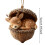 Acrylic Animal Christmas Ornament – Sleeping Squirrel, 3
