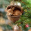 Acrylic Animal Christmas Ornament – Sleeping Squirrel, 5
