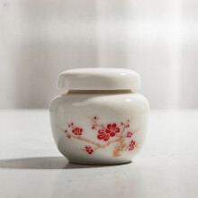 Small Urn - Ceramic Adult Dog and Cat Cremation Urn, Miniature Memorial Funeral Urn for Sharing Ashes
