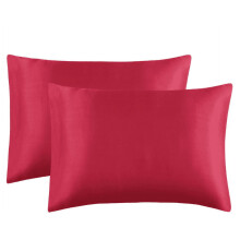 Vente flash aujourd'hui ! Taies d'oreiller en soie synthétique pour les cheveux - Lot de 2 taies d'oreiller en soie synthétique 50 x 75 cm avec