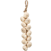Ail artificiel, oignon suspendu, ficelle