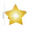 Handheld Star Lantern Luminous Lamp for Stage Dance Performance, Easy-to-Use Support Prop with Warm Light 3