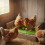 (Green) Adjustable Chicken Nest Pad - Washable & Non-Slip 1