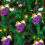 Décoration de Noël Funny67 à suspendre 4