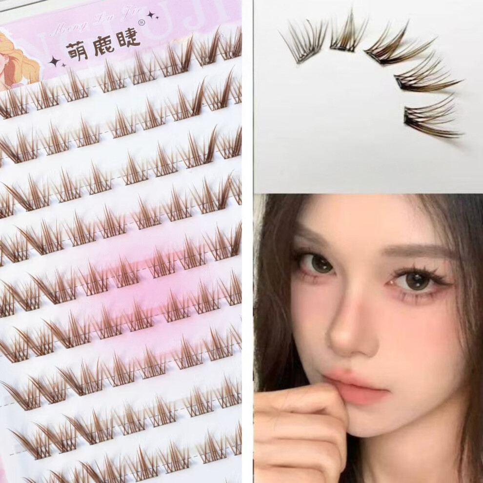 Dachuang Beauty Brown (Glue Free Model) 10-14Mm Lash Clusters For Beginners