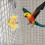 Parrot Rotating Rattle Toy Hanging Spinning Wheel for 6