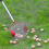Nut Gatherer Acorn Picker Upper - Side Opening Dump Walnut Picker Upper Roller Pinecone Picker 4