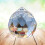 Crystal chandelier pendants clear ball prisms 2 pcs 4