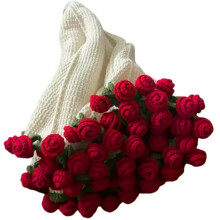 Beausougon Crochet Blanket Kit For Beginners Rose Bouquet Granny Pattern Learn To Crochet Soft Knitted Throw Blanket Craft Kit For Hobby