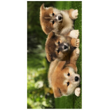 PET Series Beach Towel Shiba Inu Print Absorbent