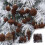 Flocked Christmas Balls Brown Plastic 24PCS 2