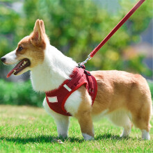 Dog No Pull Harness and Leash Set Adjustable Soft Mesh Step In Vest Reflective Pet Gear for Small Dogs Puppies Cats