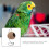 unbranded Squirrel-proof Bird Feeders Coconut Shell Nest Cradle 8
