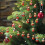 Ημερολόγιο Advent για Σκύλους 2025Σετ Χριστουγεννιάτικου Δώρου με Θέμα Κουτάβια και 24 3