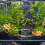Fish Tank Hideout Aquarium Accessories Accessory Landscaping 5