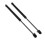 Corvette C6 Rear Hatch Damping Strut 2006-2013 1