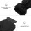 Snow Removal Tool for Windshield Plastic Black 1 Set 5