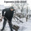 Telescopic Snow Shovel 54288 cm,800g,Gold/Blue 4