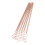 6PCS Electroculture Stakes 11.5in Natural Birch 8