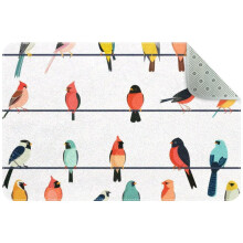 Seamless Birds Sitting on Wires Small Area Rug, Non-Slip Door Mat Indoor Floor Mat, Washable Kitchen Rug Entrance DMat for Bedroom Living Room