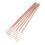 6PCS Electroculture Stakes 11.5in Natural Birch 13