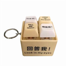 Interactive Talking Keychain Stress Toy for Kids/Adults Glowing Light Up Phrases | Portable Acrylic Fidget Toy