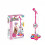 Adjustable Standing Karaoke Microphone with Stage Lights 1