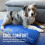 Green Pet Shop Chillz kjølematte for hunder, medium 5