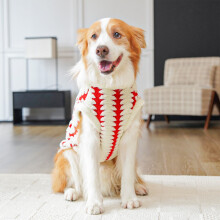 Dog Sweater for Large Dogs, Golden Retrievers Autumn Winter Warm Pet Apparel with Ornaments