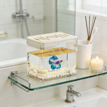 Small Goldfish Tank Desktop Aquarium 4.7"x3.9"x3.1", Transparent, Multi-Color (Black/White/Green/Red), Space-Saving & Easy-Clean