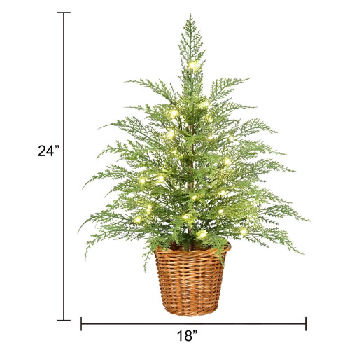 24in Lit Artificial Christmas Tree with Warm White LEDs 1