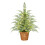 24in Lit Artificial Christmas Tree with Warm White LEDs 3