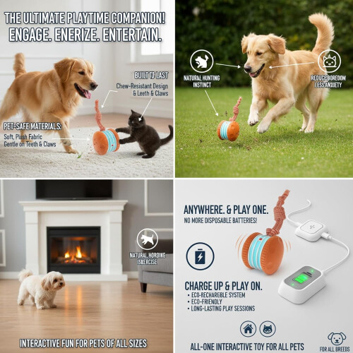 Smart Motion Pet Ball for Dogs Small to Large 1