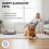 Smart Motion Pet Ball for Dogs Small to Large 4