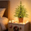 24in Lit Artificial Christmas Tree with Warm White LEDs 1