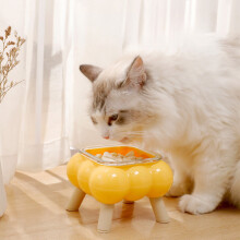 Kitty Food Bowls Elevated Cat Water Bowls,Cat Must Haves for Indoor Cats,Cat Slow Feeder Bowl Pet Dishes,Dog Bowl Cat Plates for Wet Food