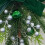 Upside Down Christmas Rattan Tree Wall Hanging 1 piece 6