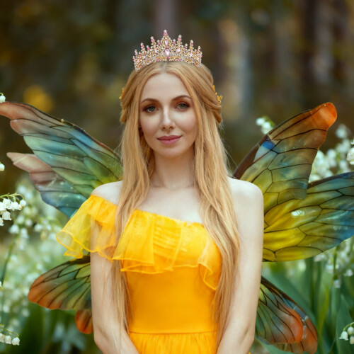 Tiara prateada com pentes para mulheres 2