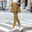 Leopard Print Skort Leggings Yellow Black XXL 2