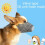 Dog Air Filter Mask Reusable Breathable Navy Small 4