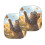 Σετ 2 πτυσσόμενων σκίαστρων αυτοκινήτου με χαριτωμένη γάτα και πεταλούδα, 5