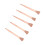 250pcs Copper Plated Horseshoe Nails 45mm Rustproof E3 12