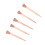 250pcs Copper Plated Horseshoe Nails 45mm Rustproof E3 6