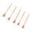 250pcs Copper Plated Horseshoe Nails 45mm Rustproof E3 9