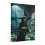Vintage Halloween Witch Canvas Wall Art Framed 1